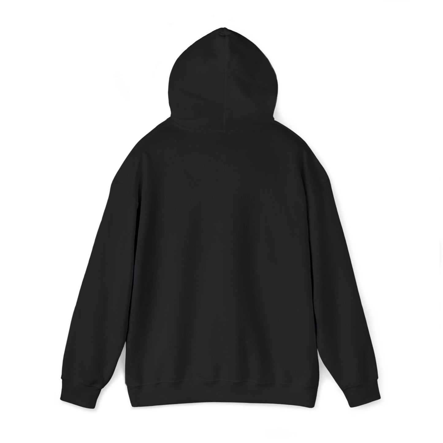 Stay the Course Hoodie — Graphic Pullover